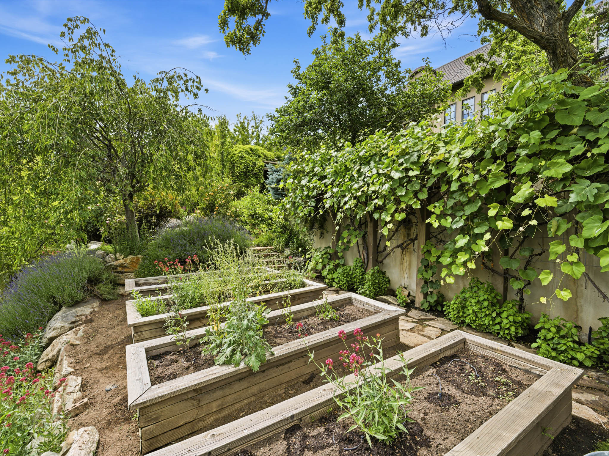 main property photo 40