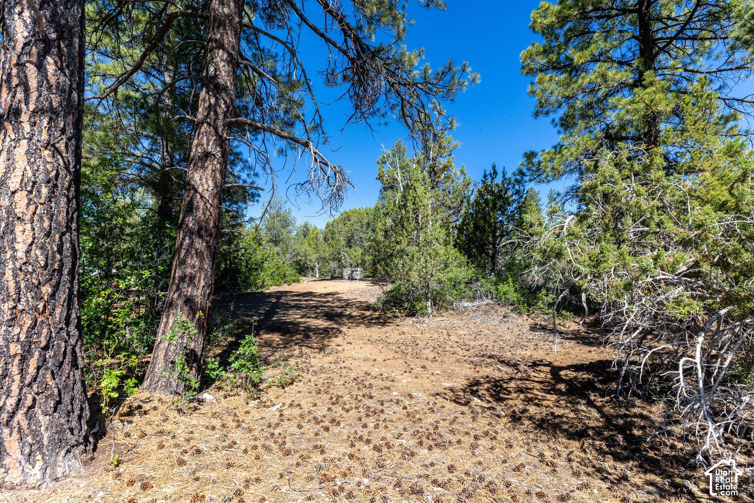 main property photo 27