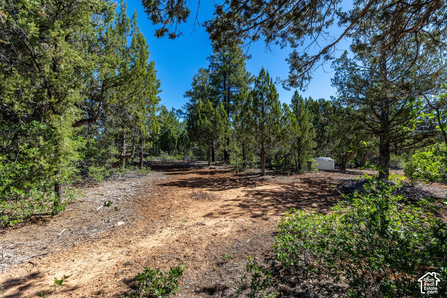 main property photo 28