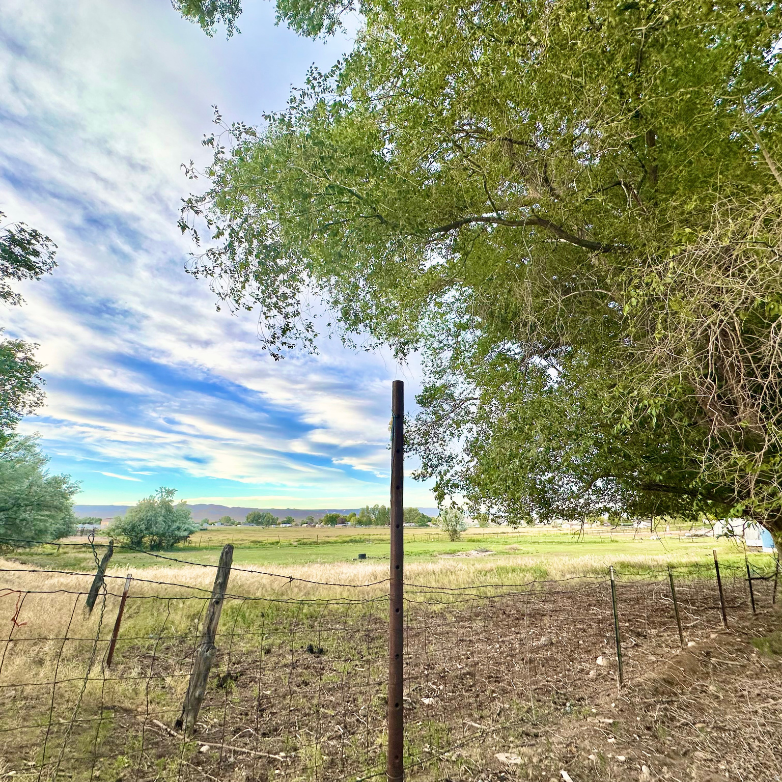 main property photo 47