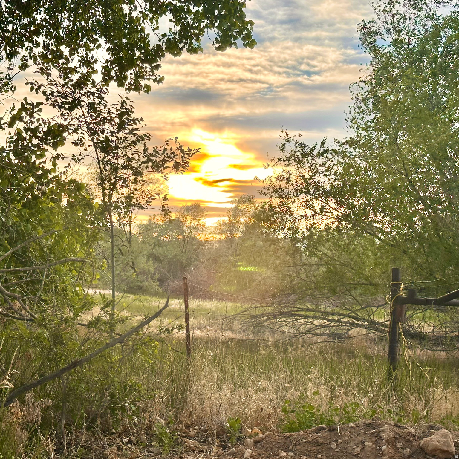 main property photo 50