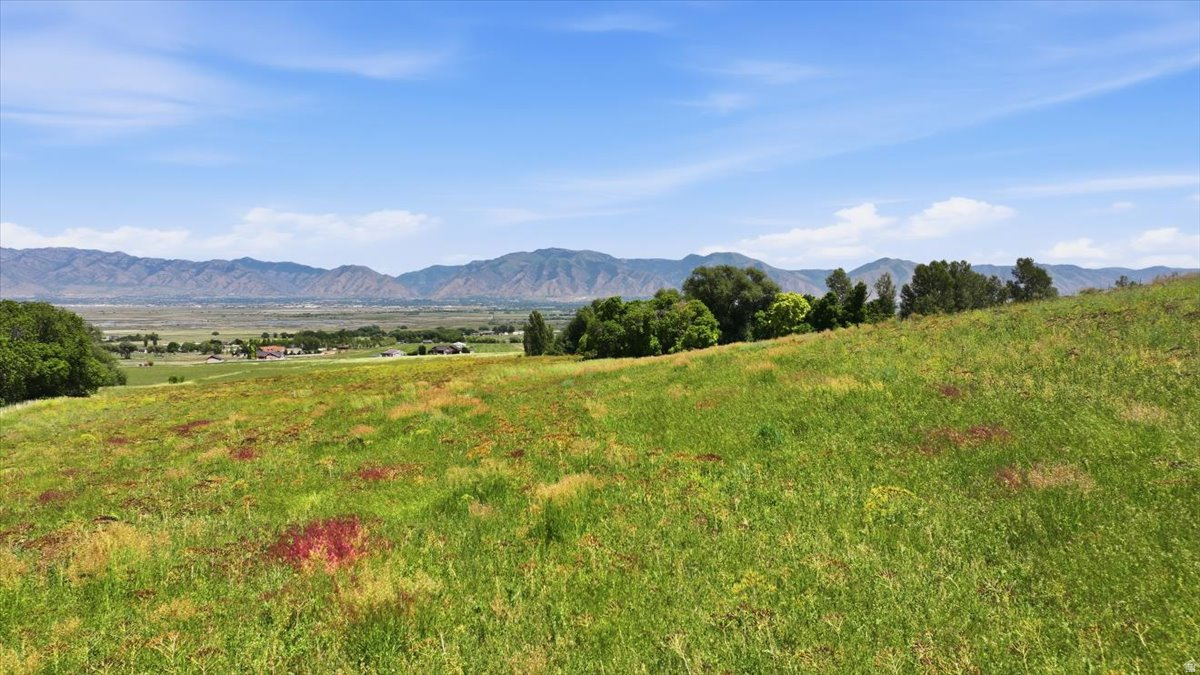 main property photo 19