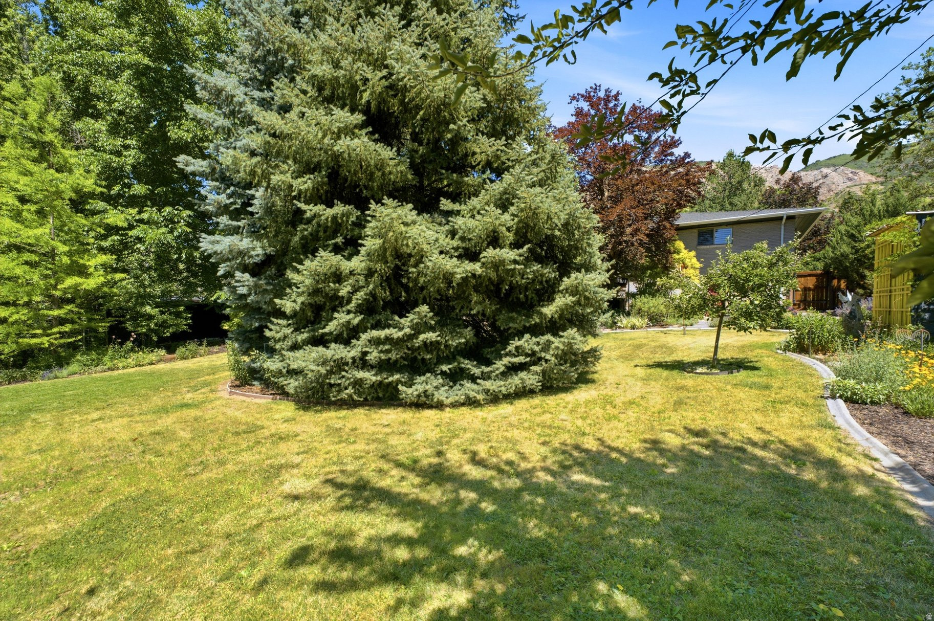 main property photo 58