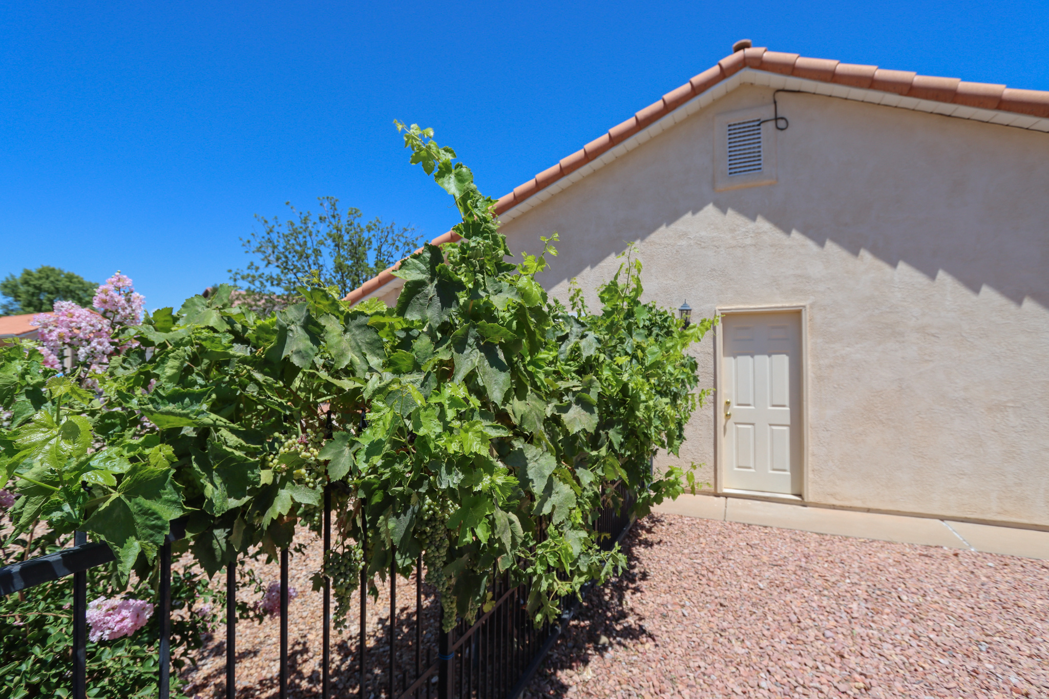 main property photo 63