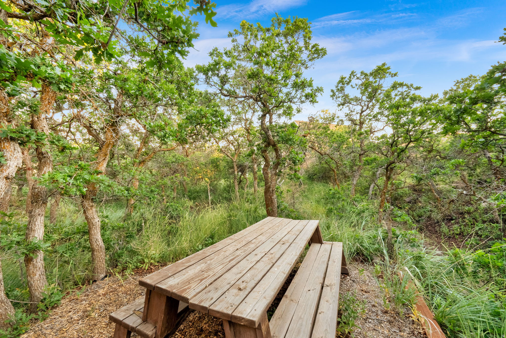main property photo 62
