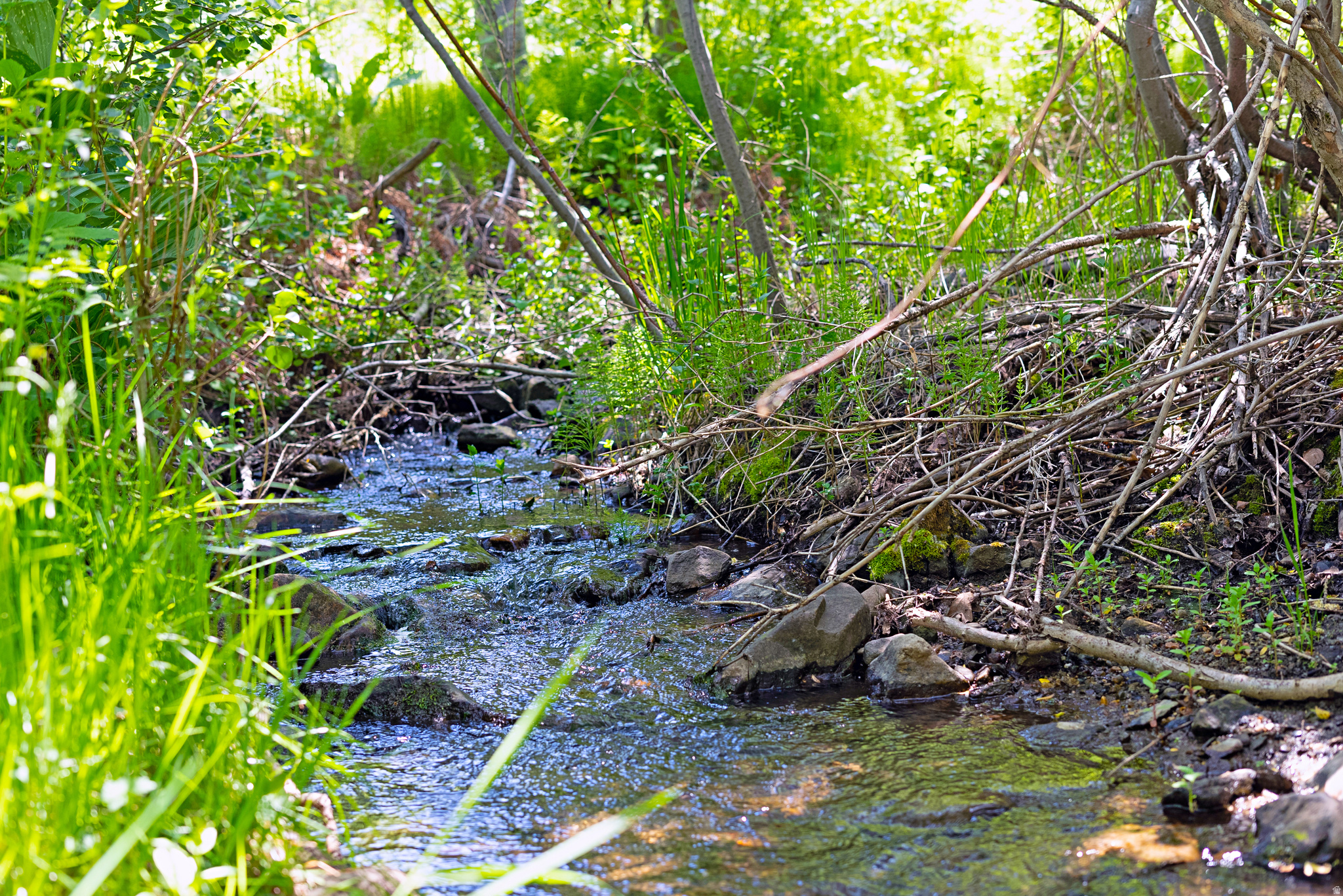 main property photo 116
