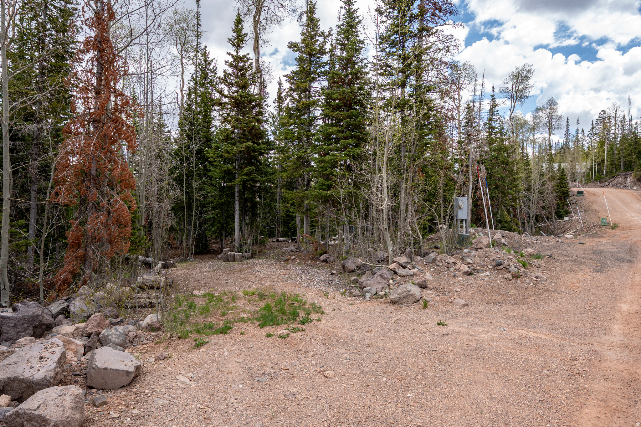main property photo 11