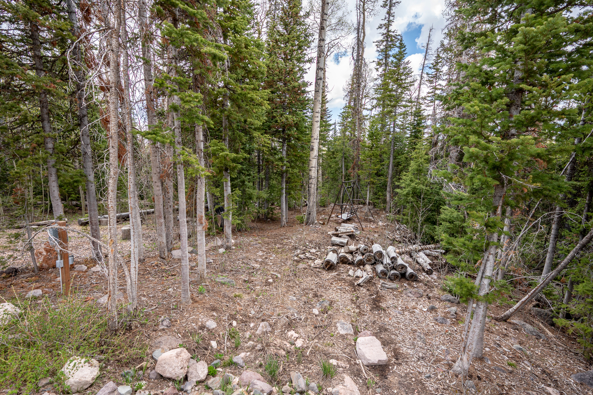 main property photo 13