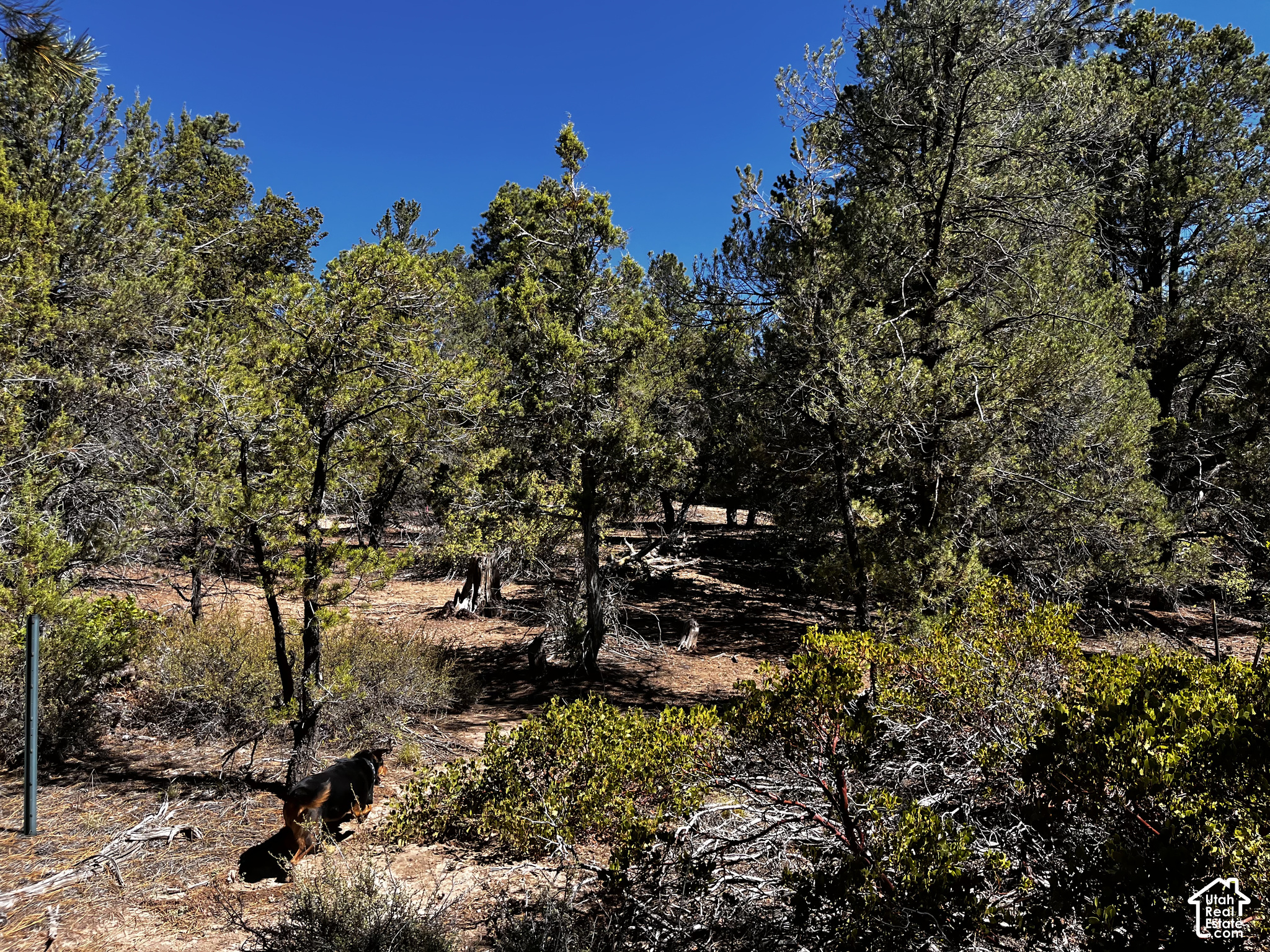 main property photo 8