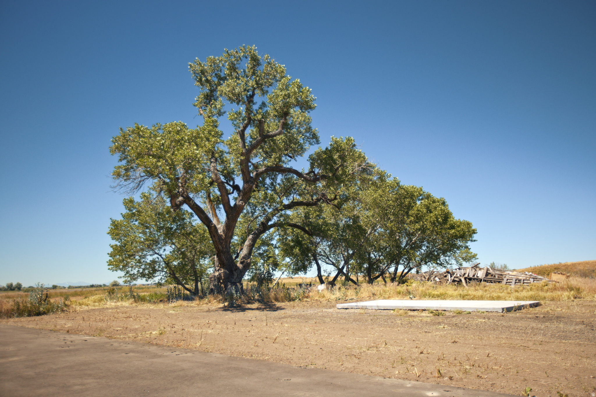 main property photo 35
