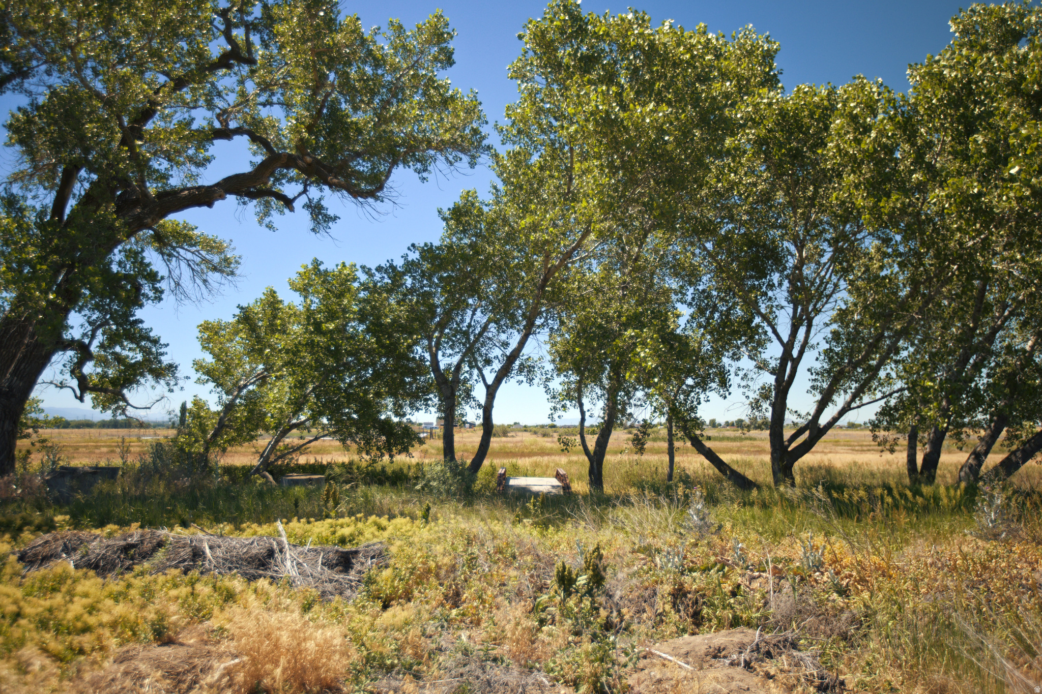 main property photo 36