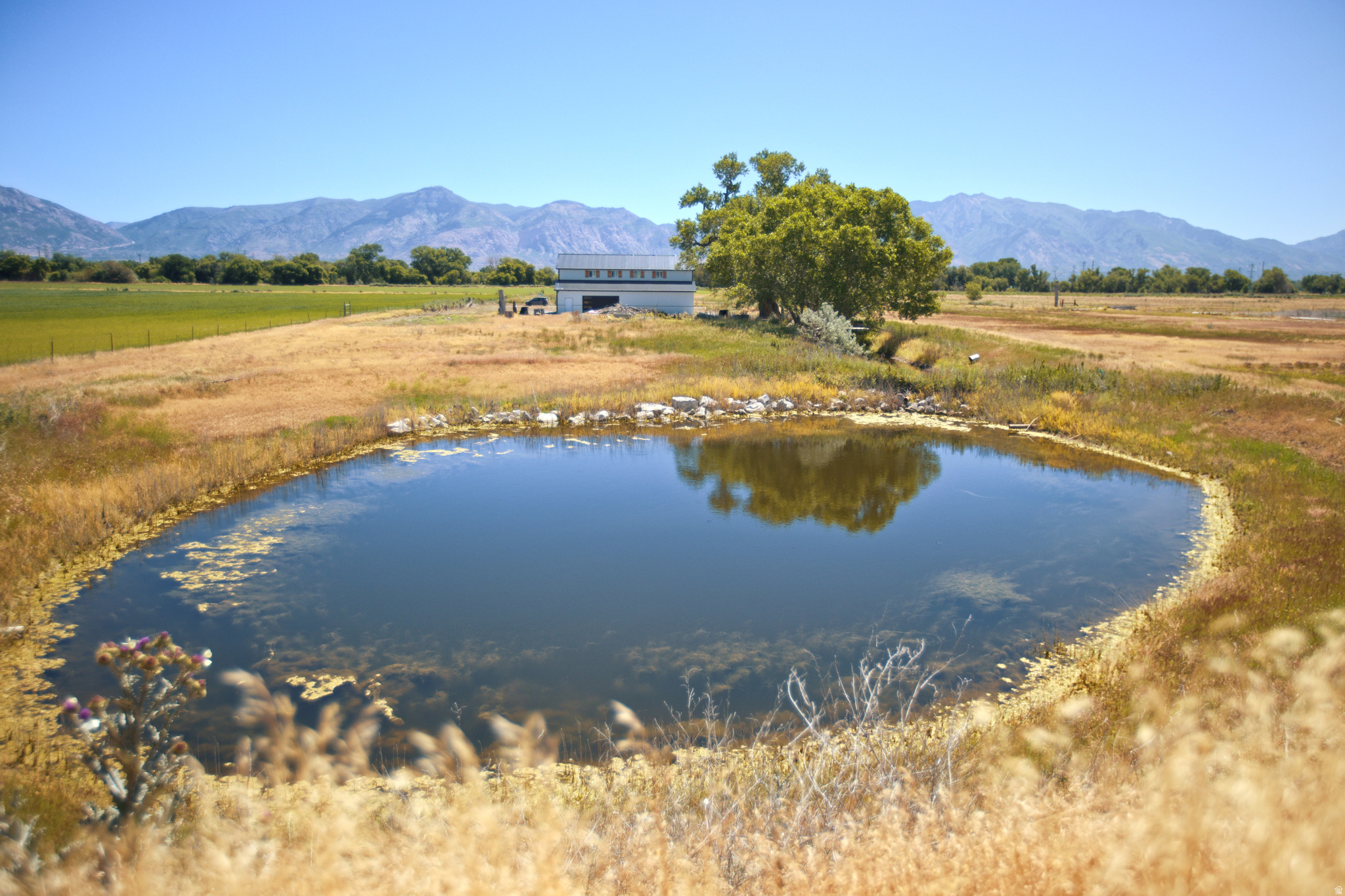 main property photo 42