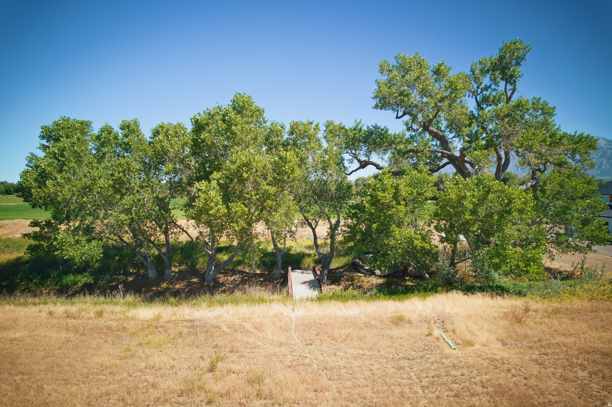 main property photo 50