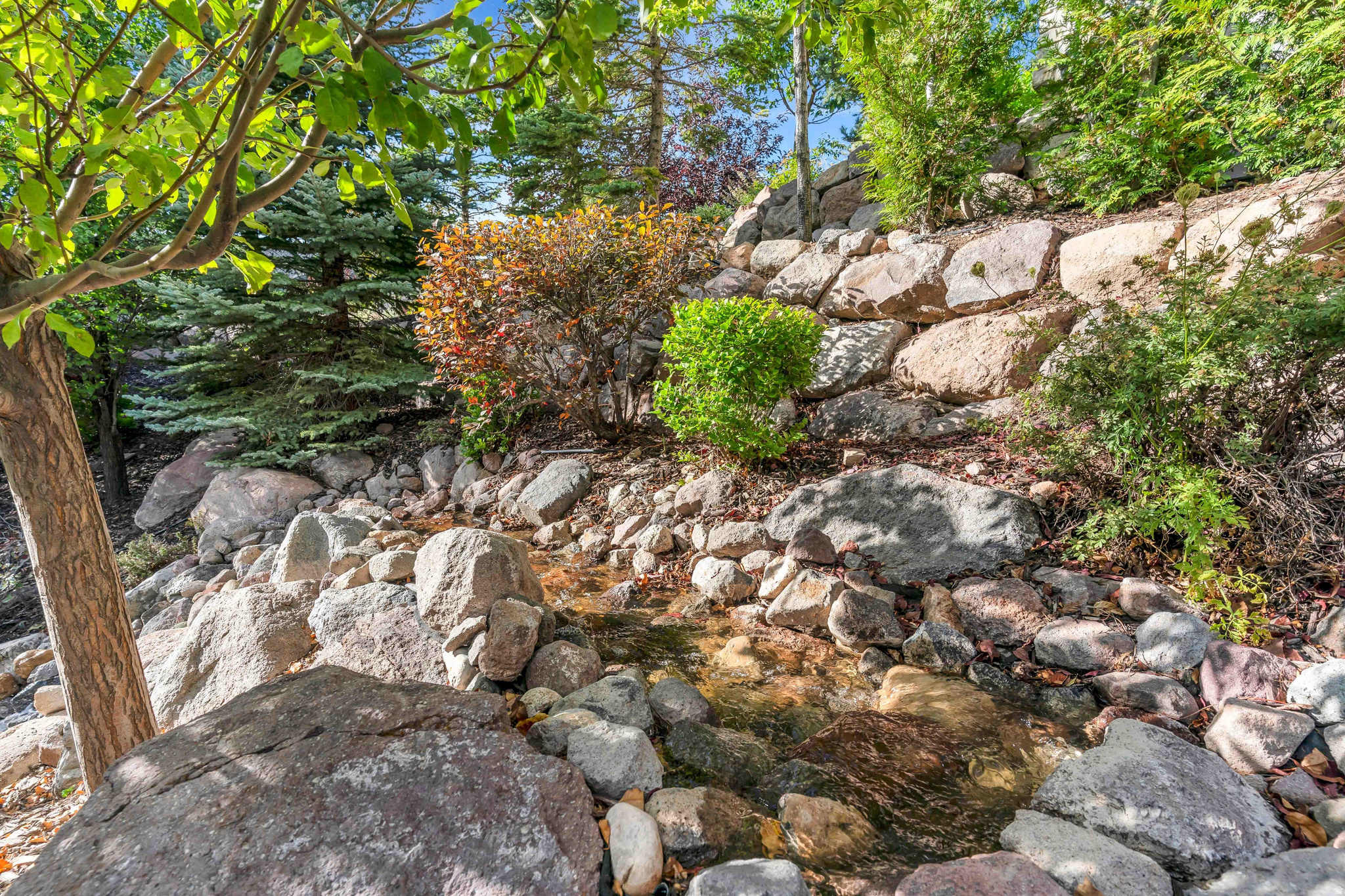 main property photo 46