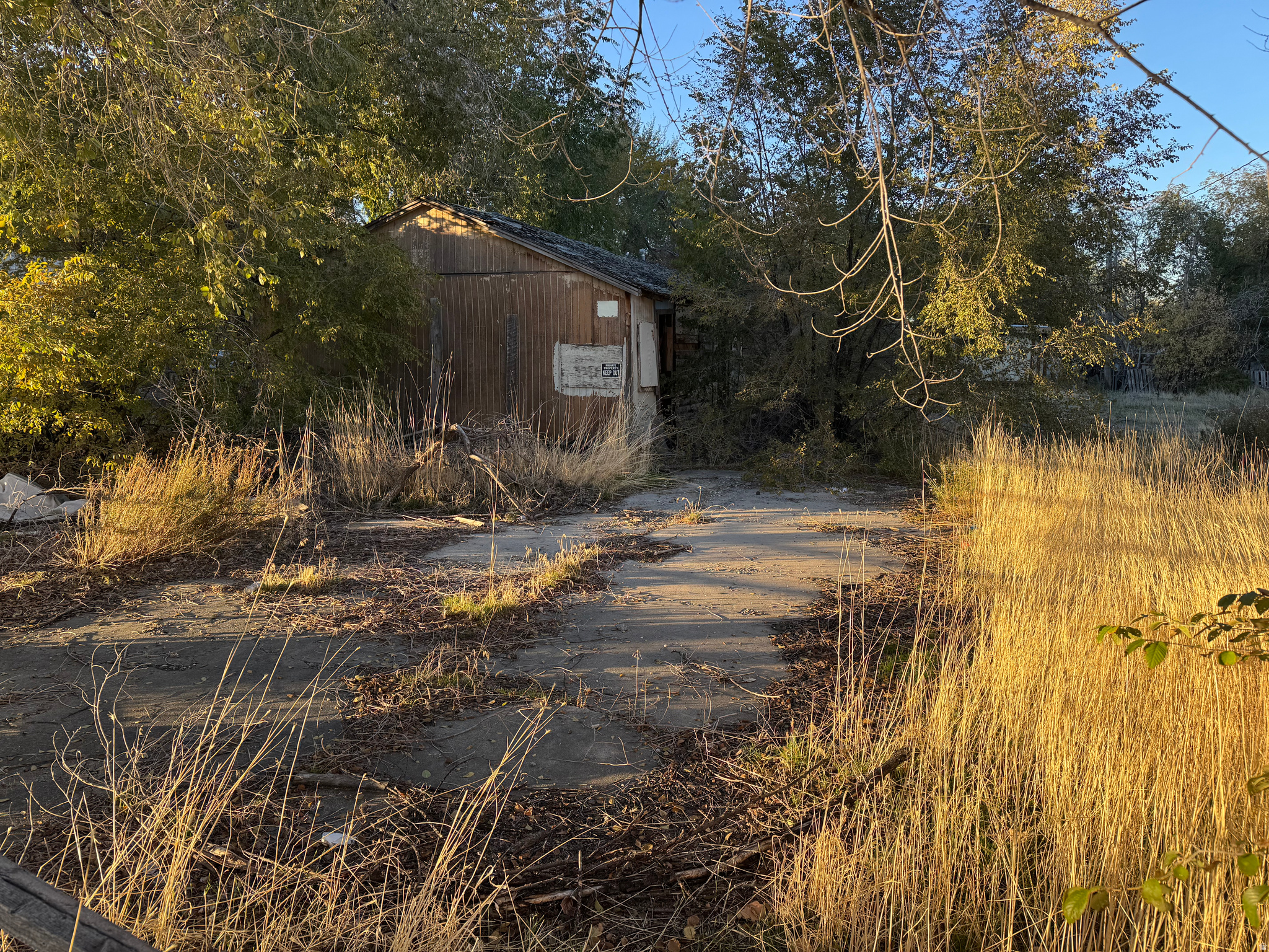 main property photo 14