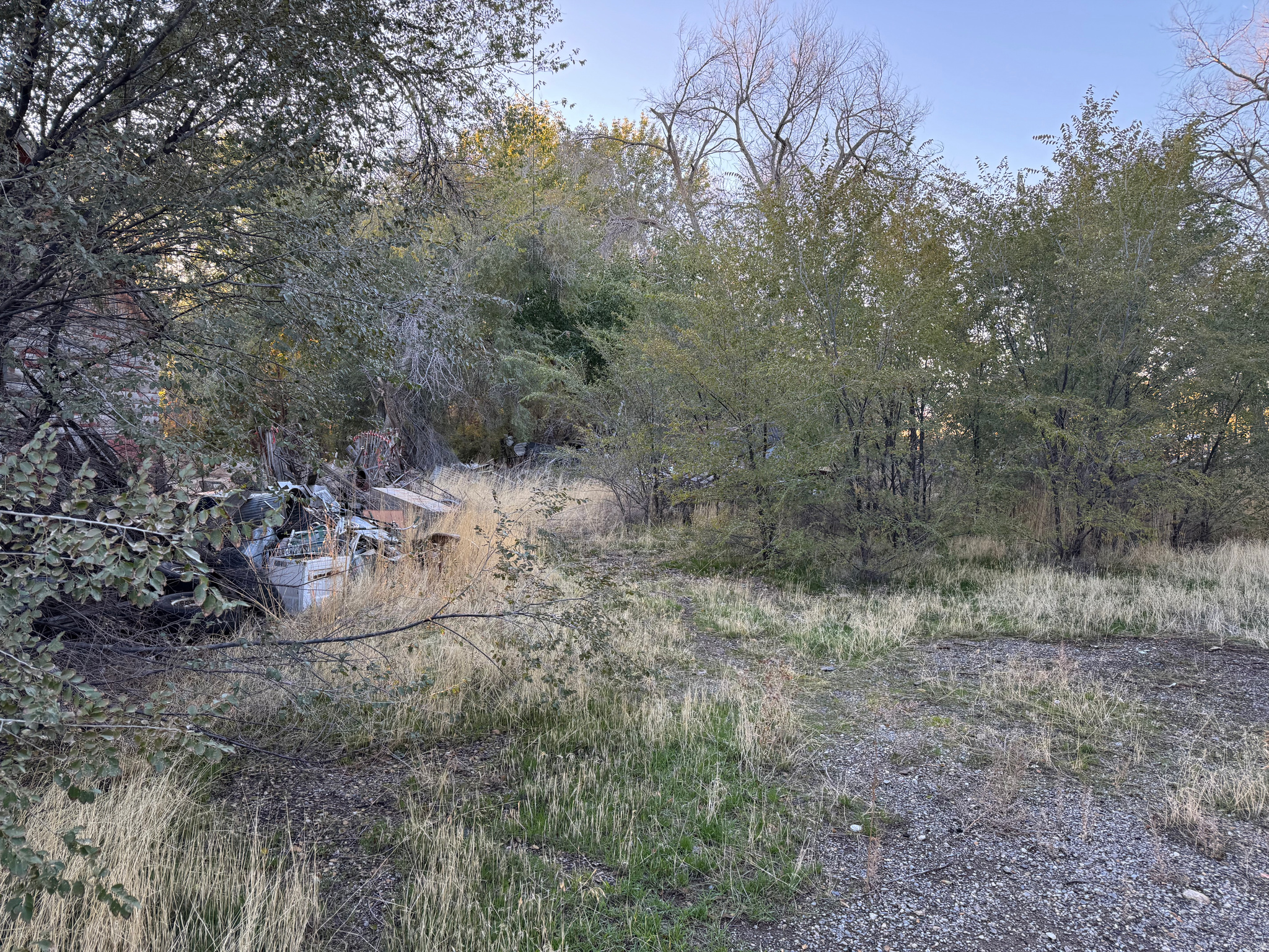 main property photo 9