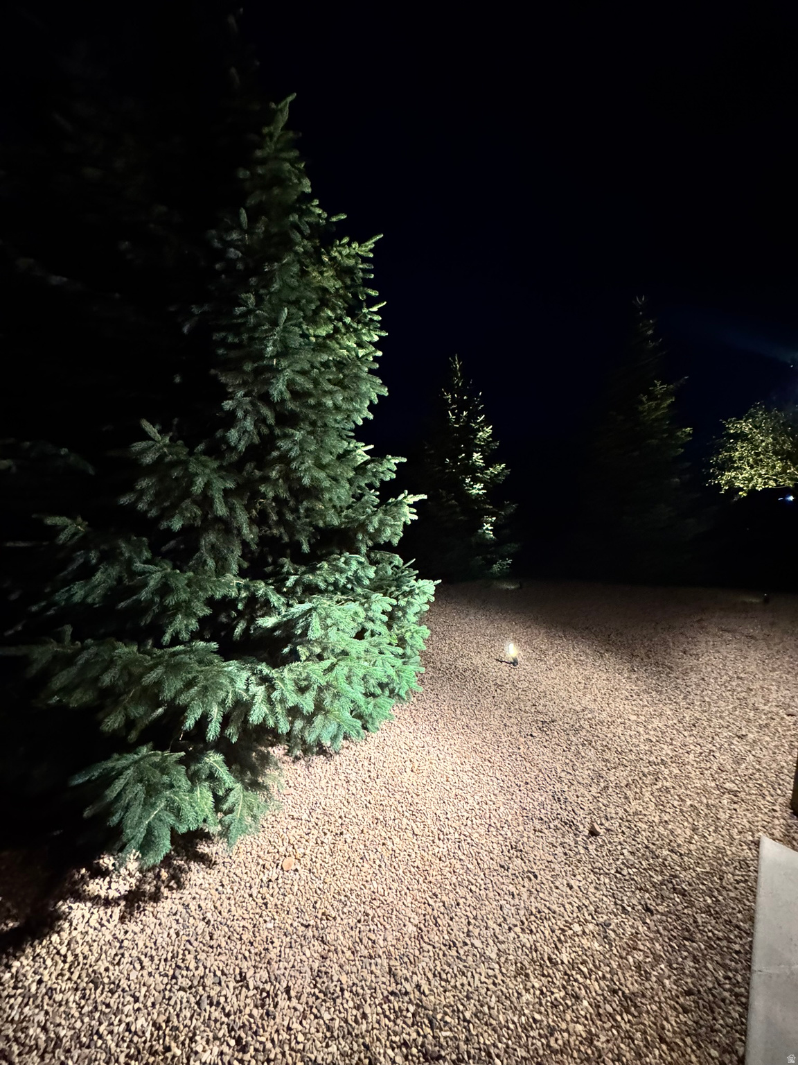 main property photo 60