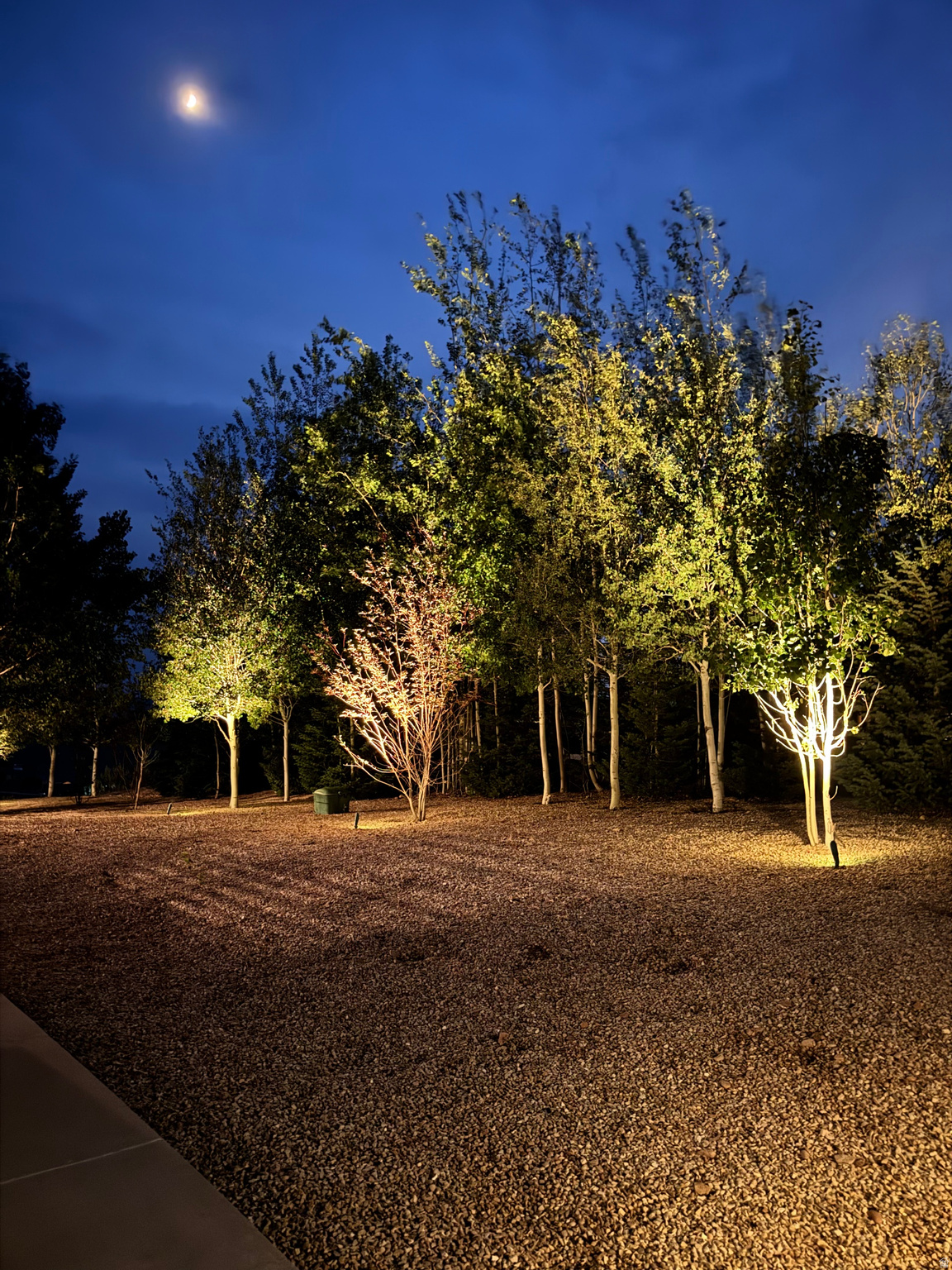 main property photo 63