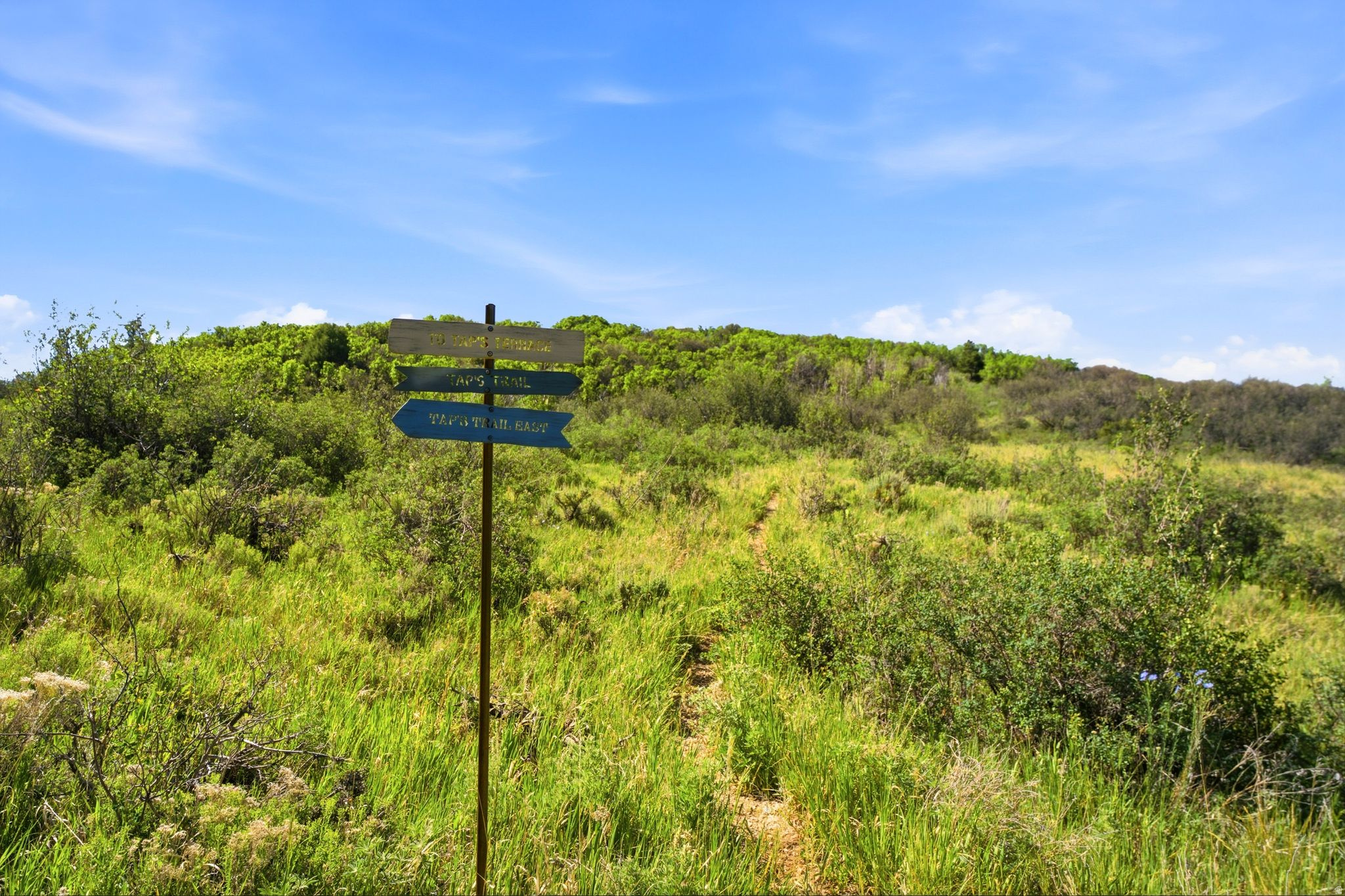 main property photo 58
