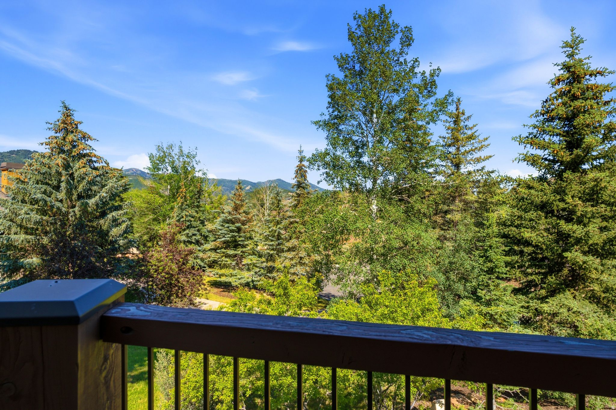 main property photo 59