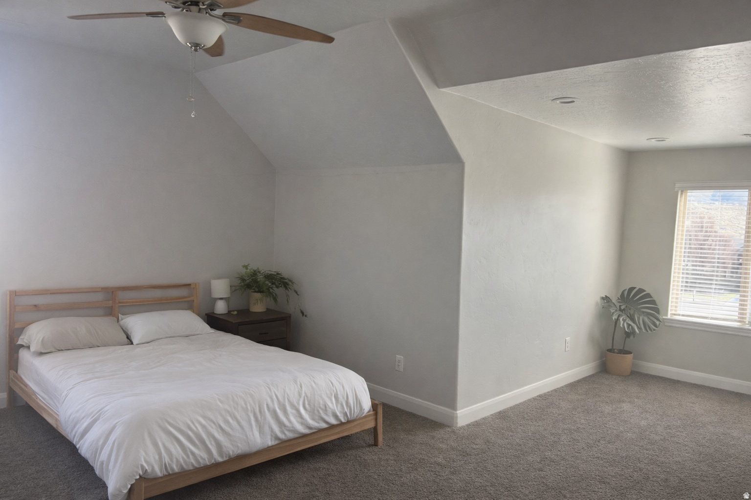 main property photo 67