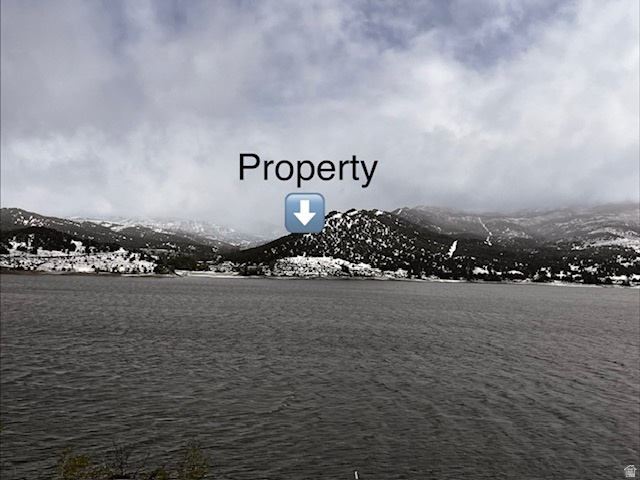 main property photo 33