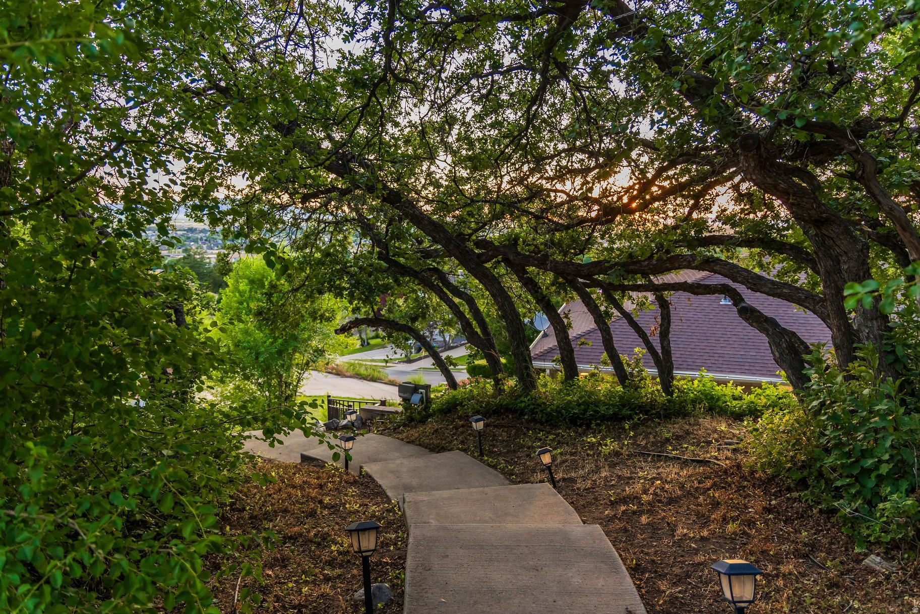 main property photo 57