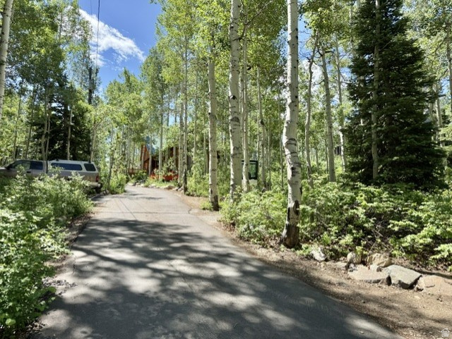 main property photo 11