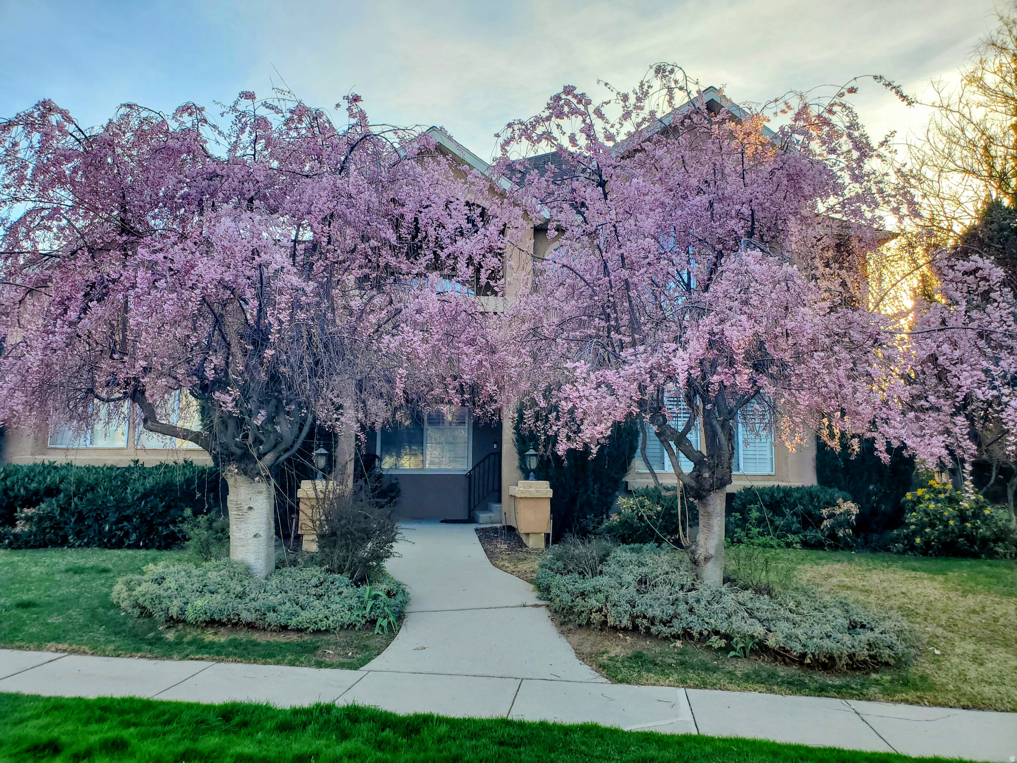 main property photo 44