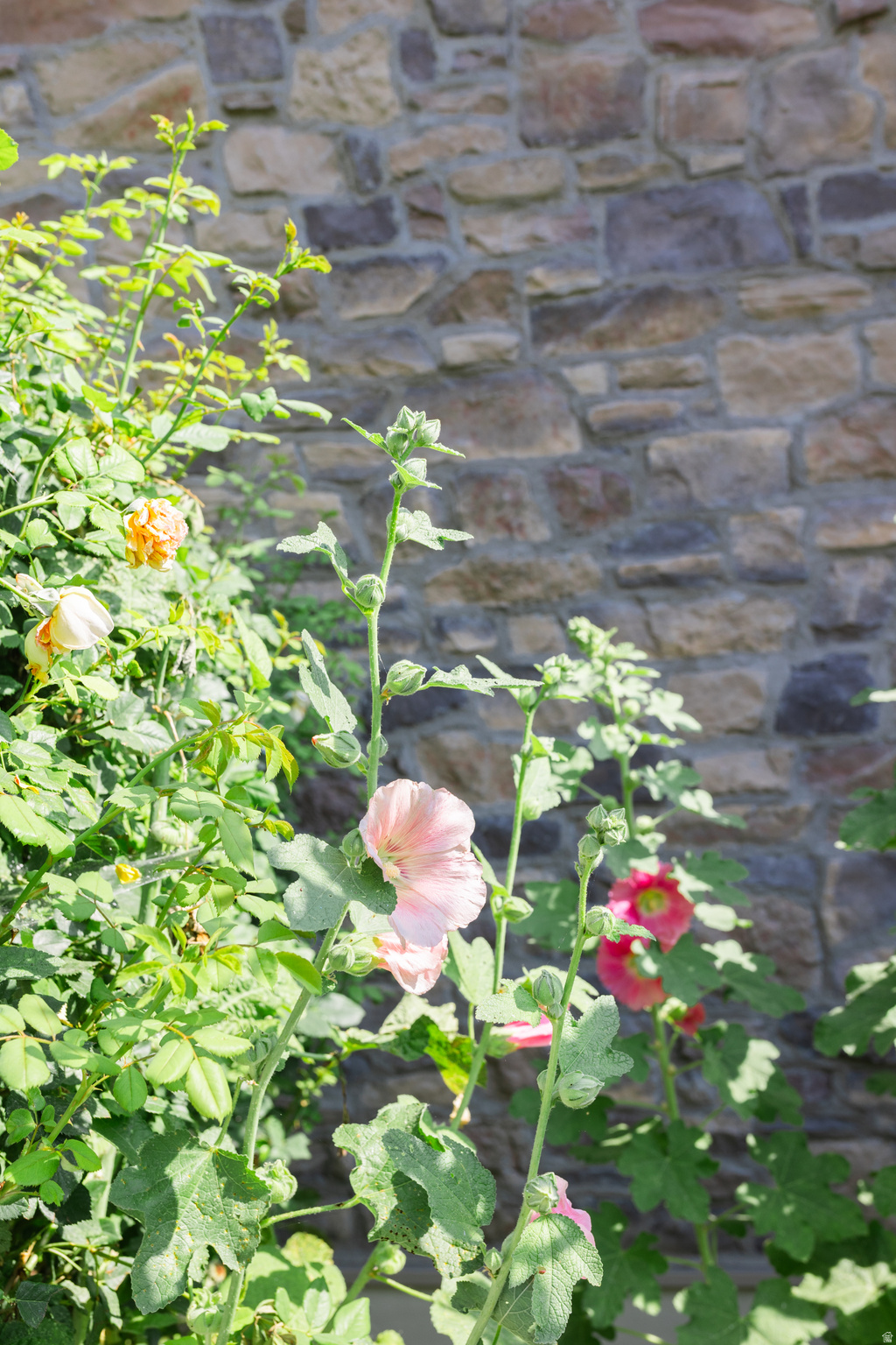 main property photo 42