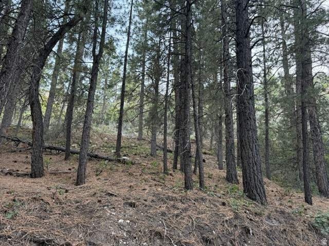 main property photo 12