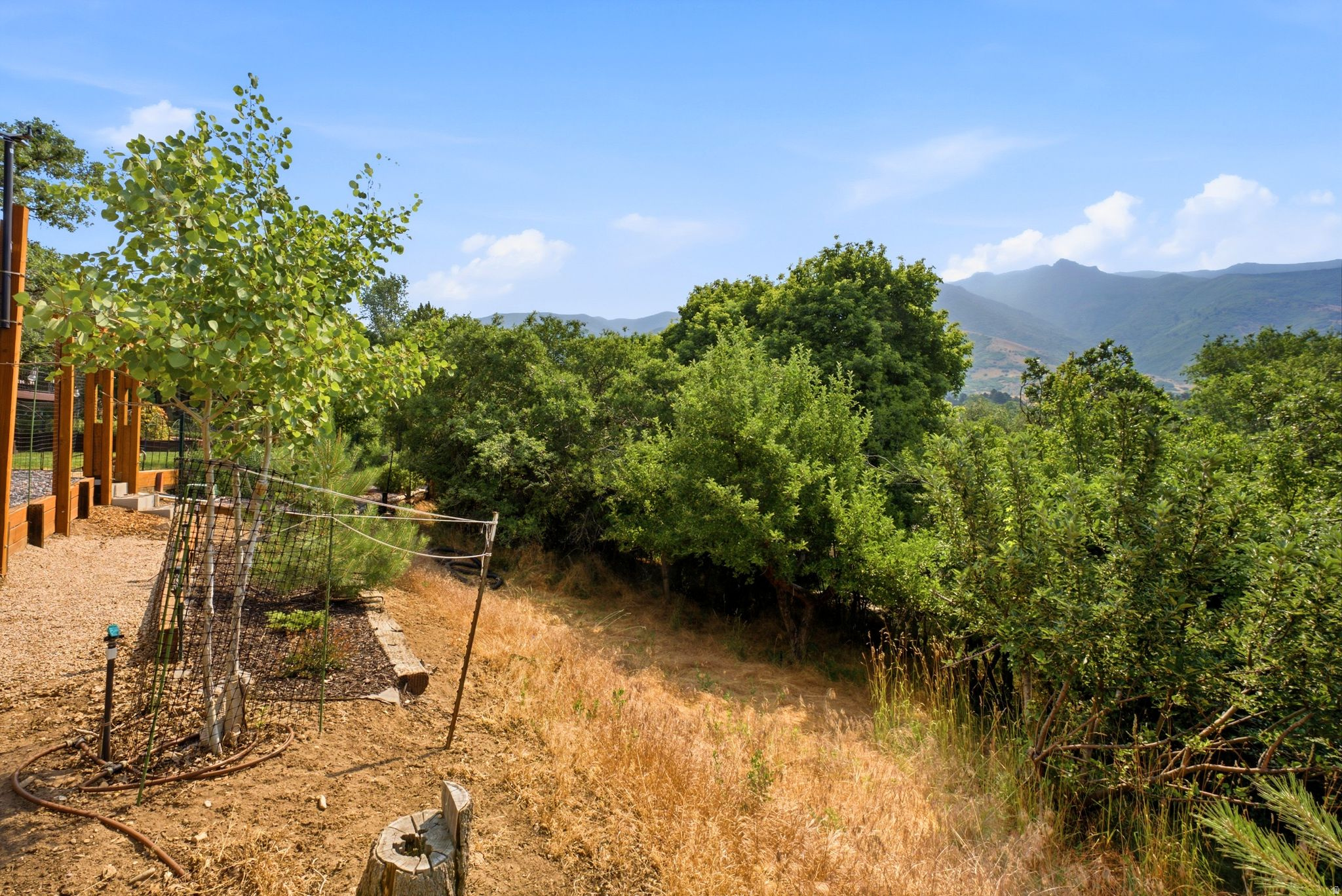 main property photo 67