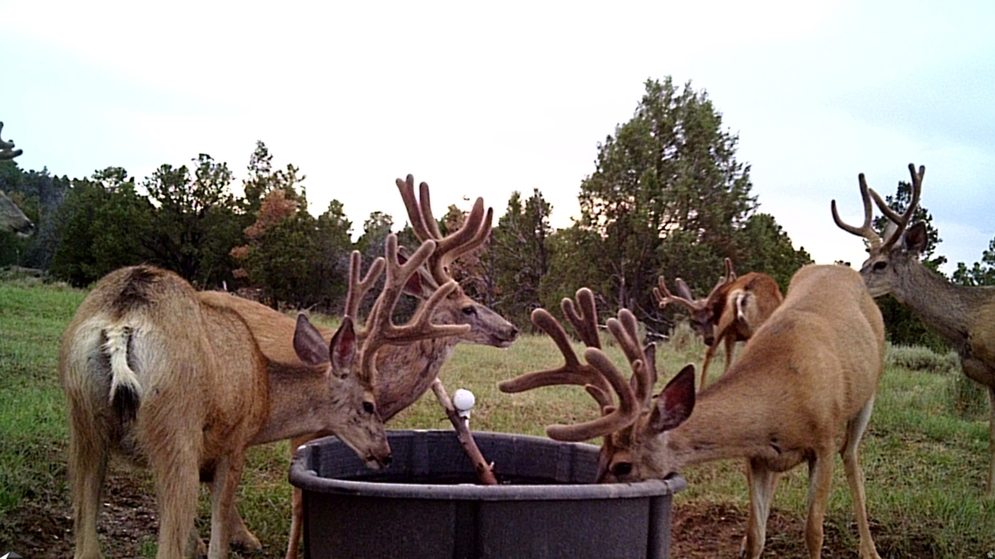 main property photo 12