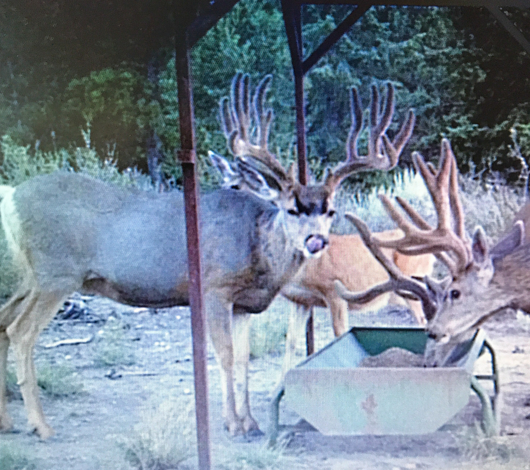 main property photo 18
