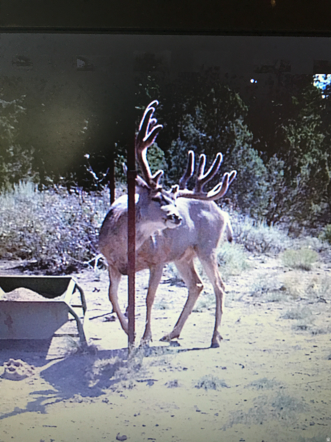 main property photo 29