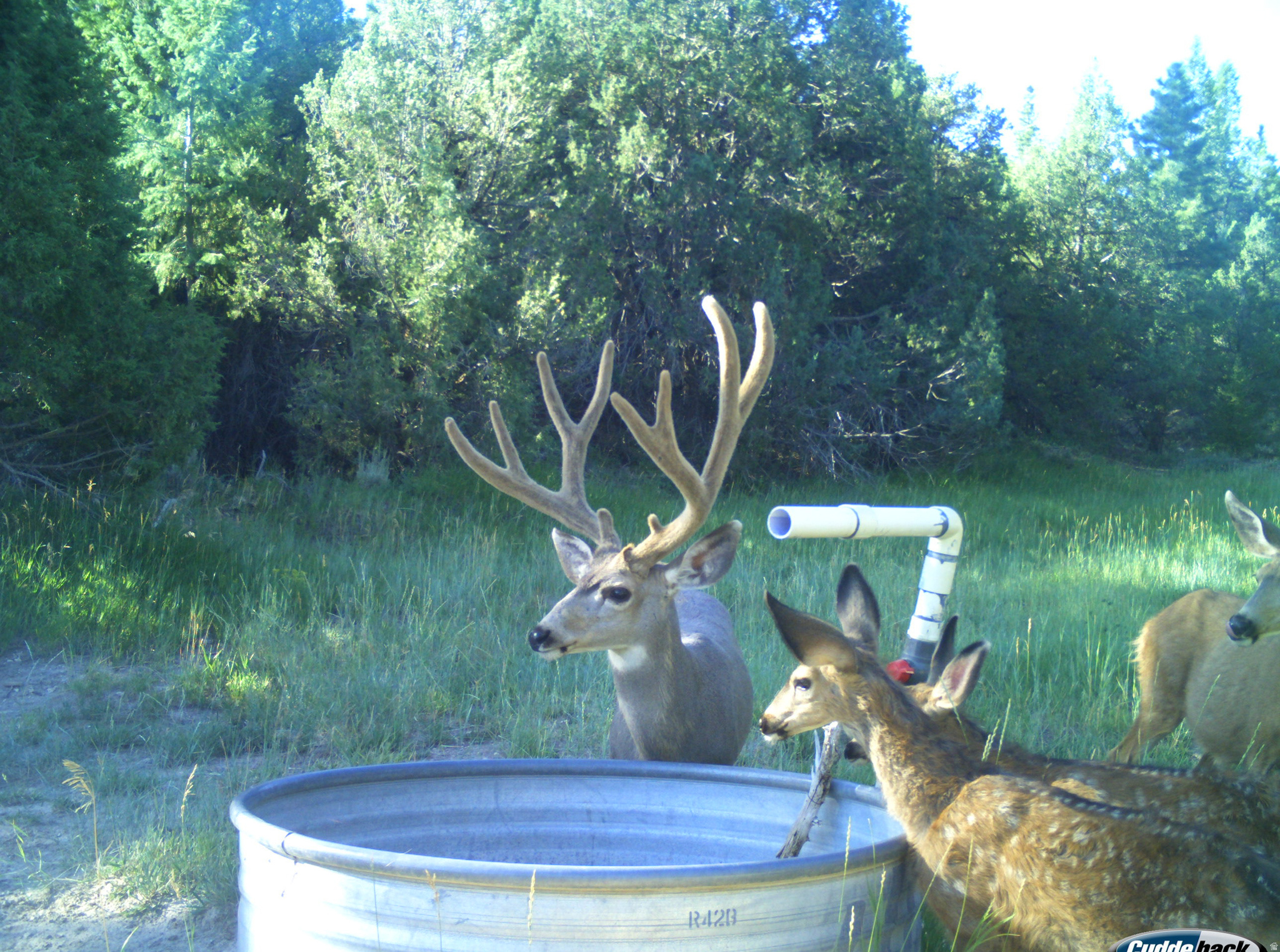 main property photo 30