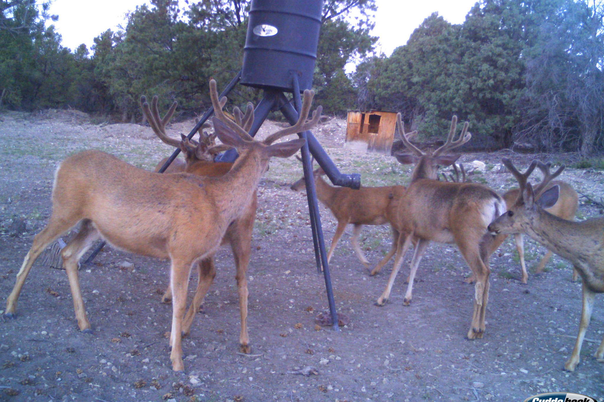 main property photo 35