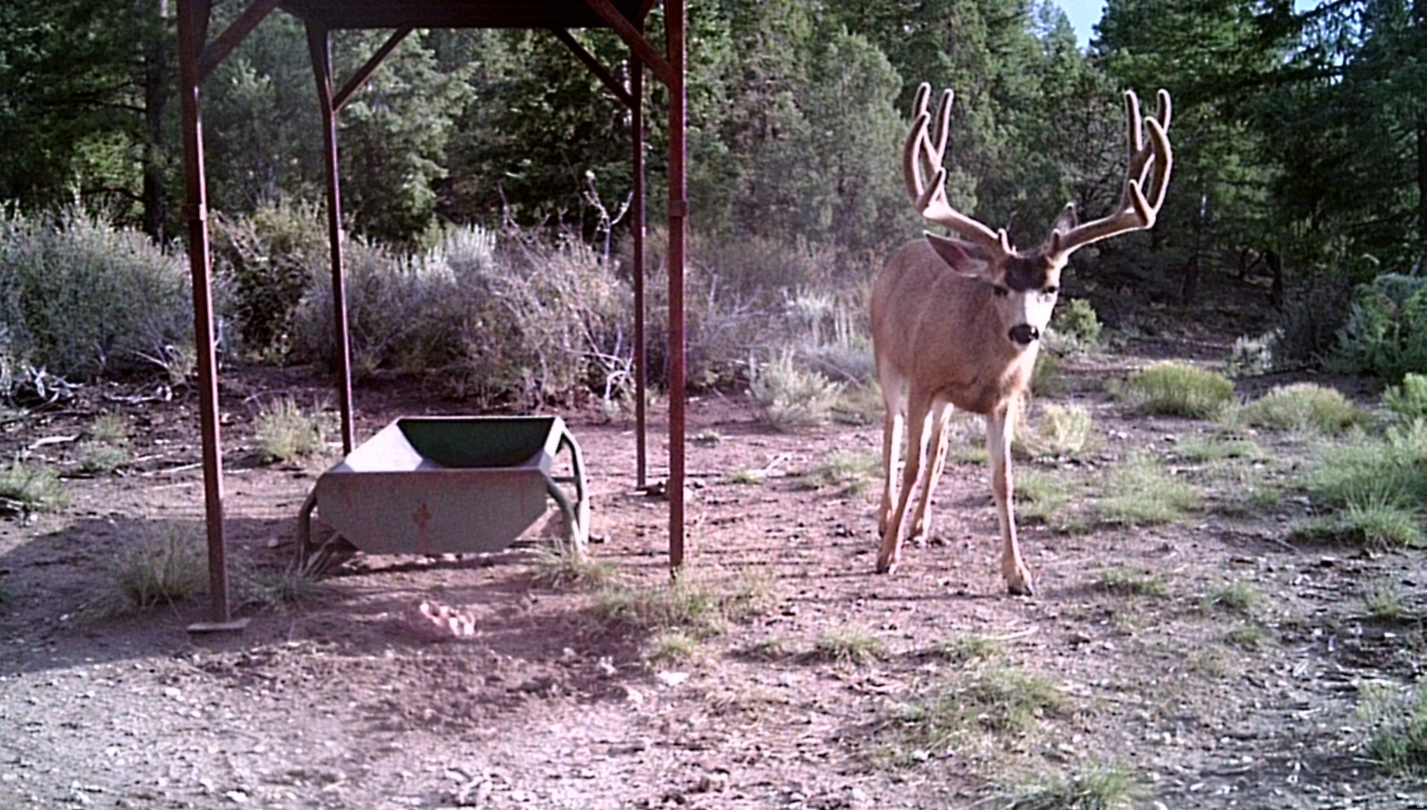 main property photo 36
