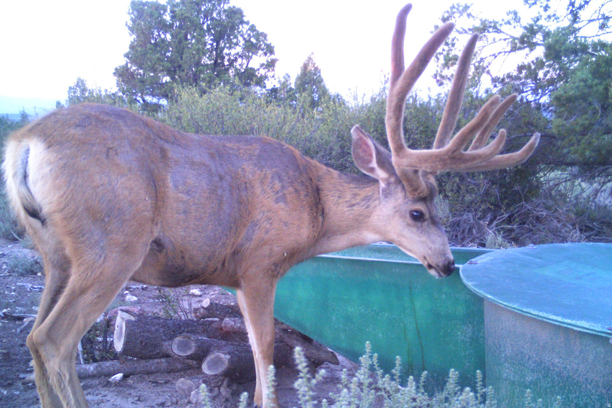 main property photo 37
