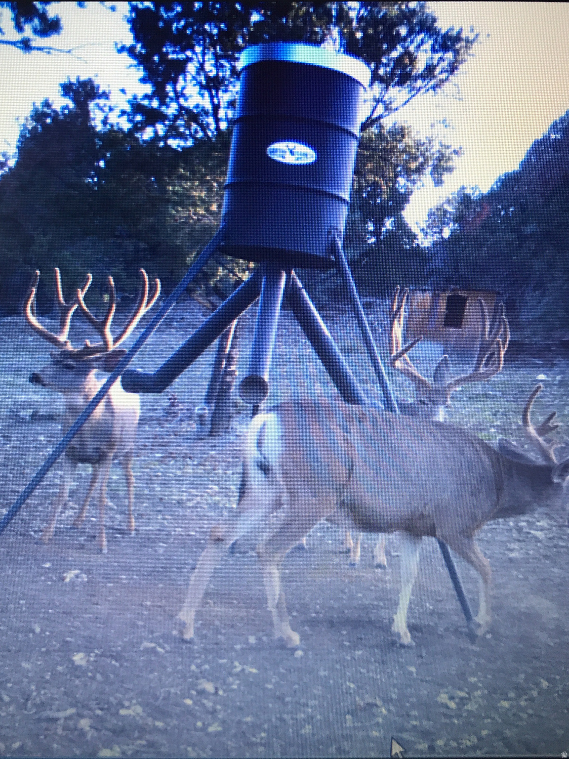 main property photo 39
