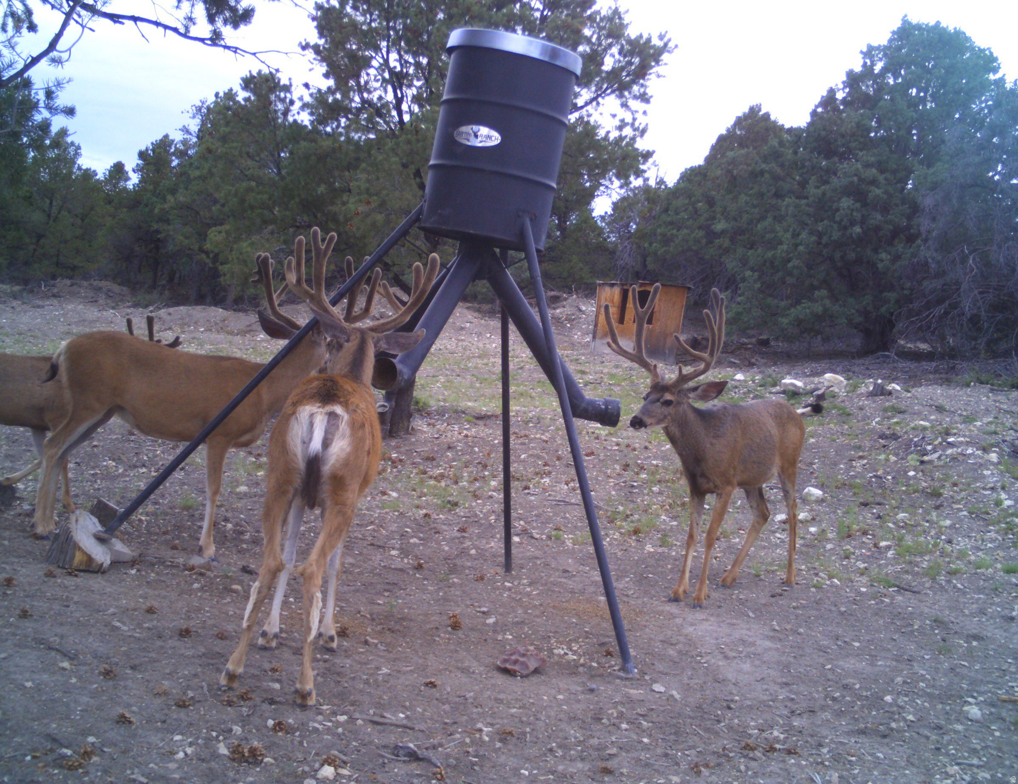 main property photo 41