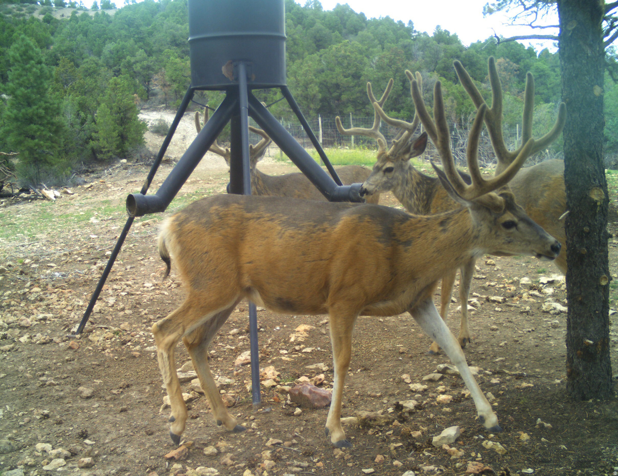 main property photo 42