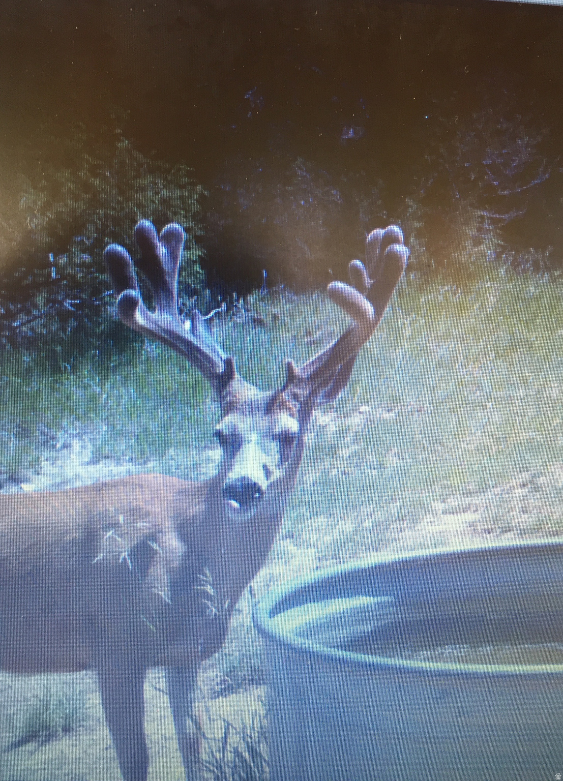 main property photo 45