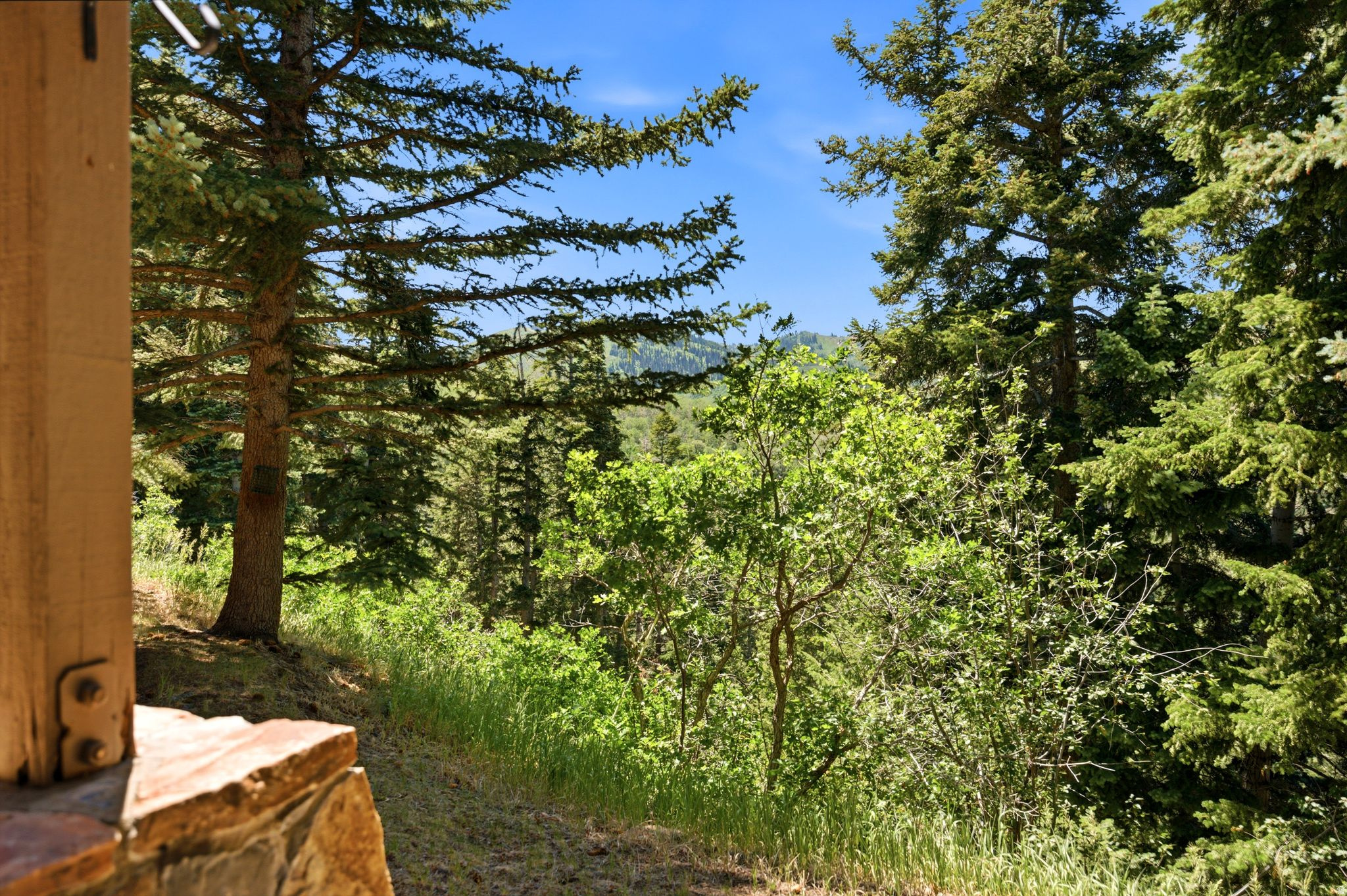 main property photo 60