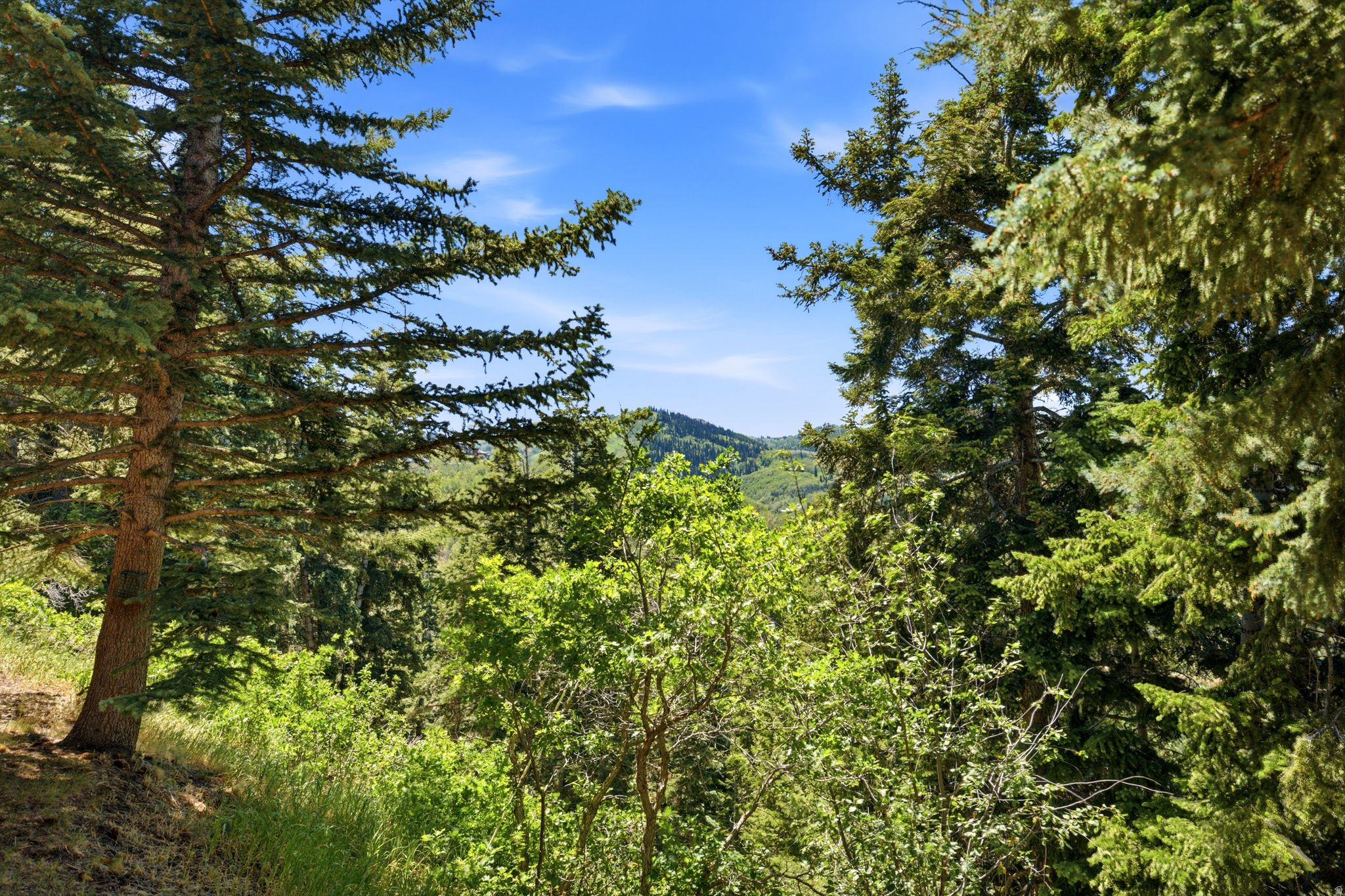 main property photo 61