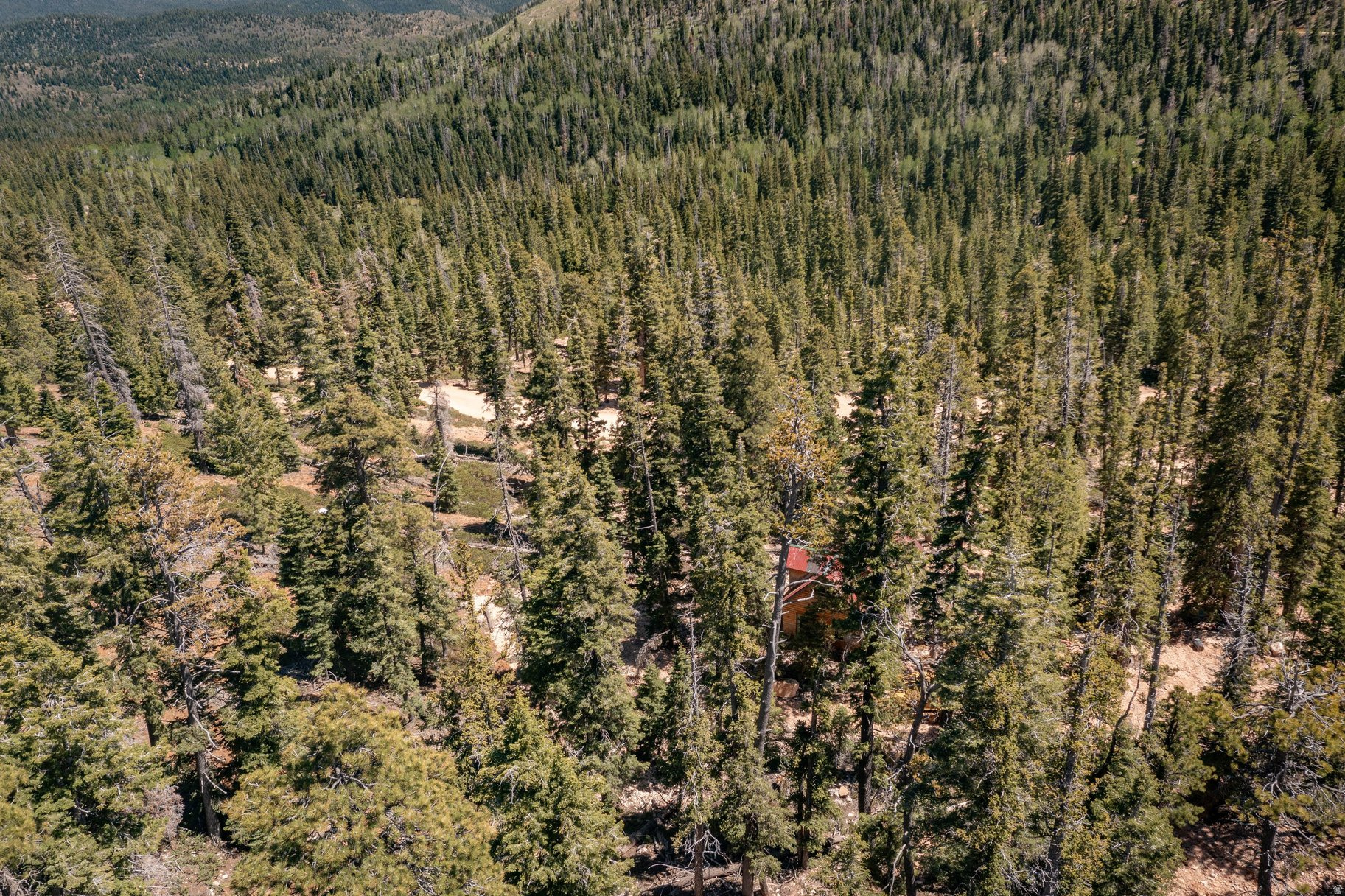 main property photo 106