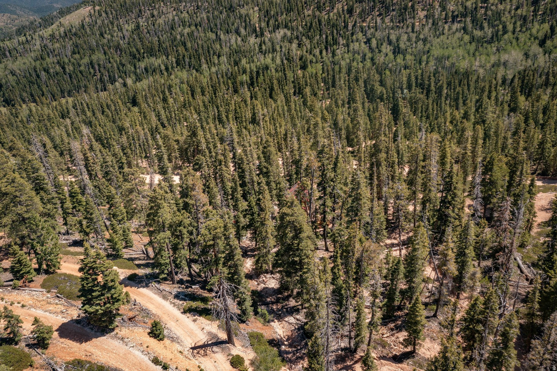 main property photo 109