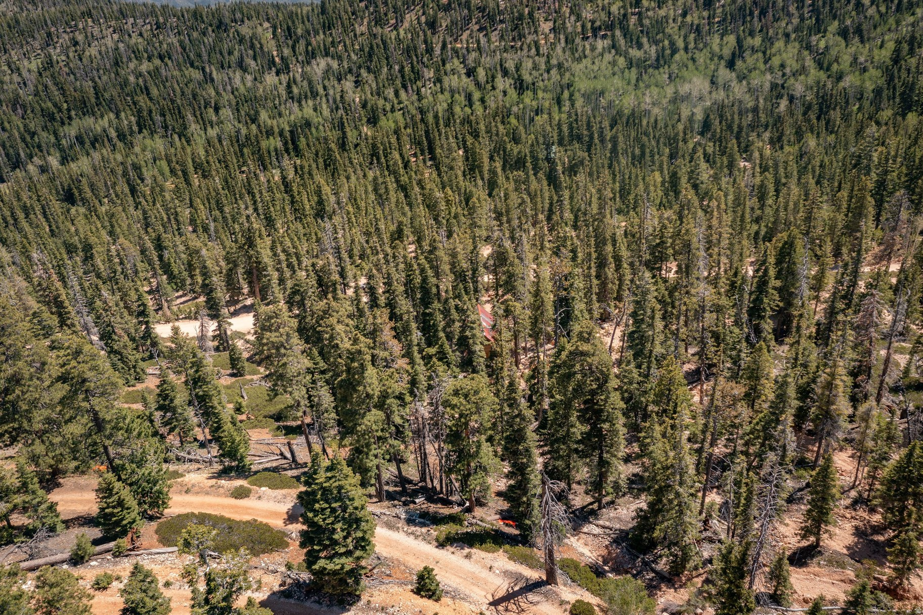 main property photo 110