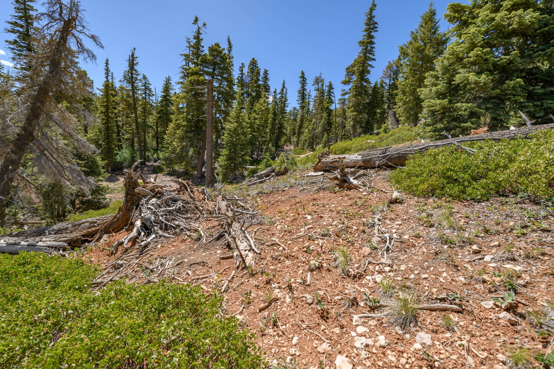 main property photo 14