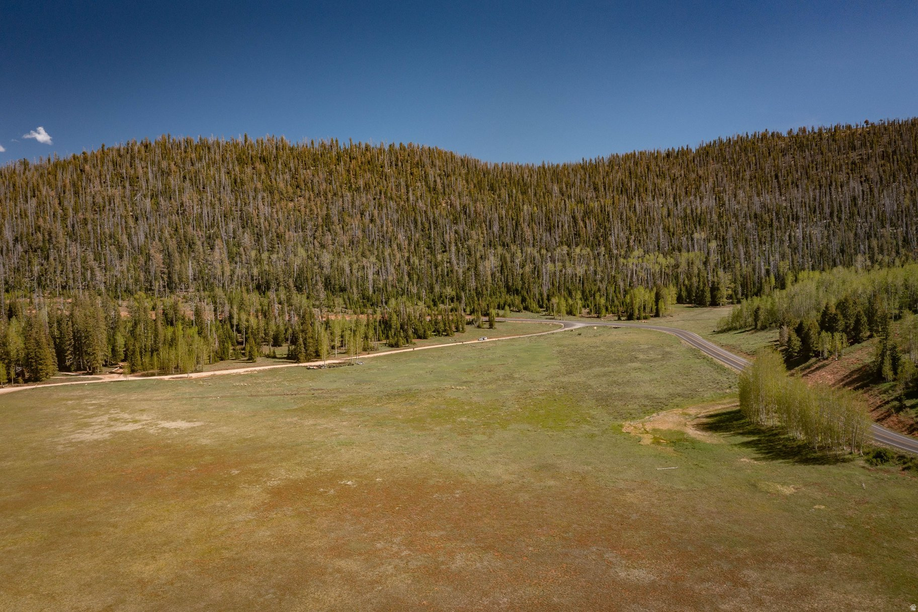 main property photo 149
